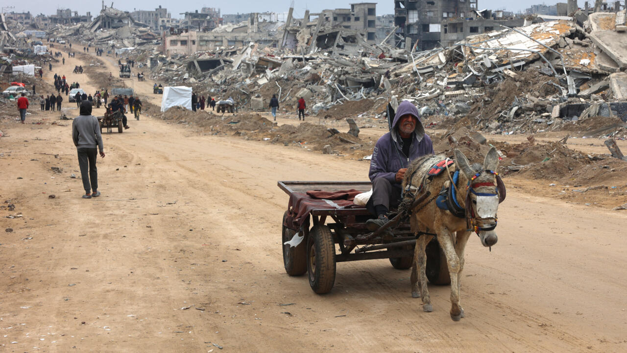 Plus de 50 000 morts à Gaza depuis le début de la guerre entre Israël et le Hamas 