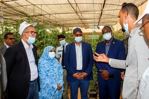 Le ministre de l'Agriculture salue les efforts des jeunes de Nouakchott nord dans la culture de légumes