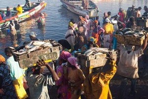 Les pêcheurs artisanaux invitent Macky à négocier avec Ghazouani