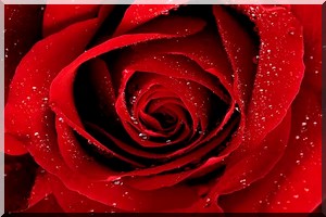 Conte de Aichetou Ahmedou : Aider son prochain peut le sauver de la misère et de la mort 