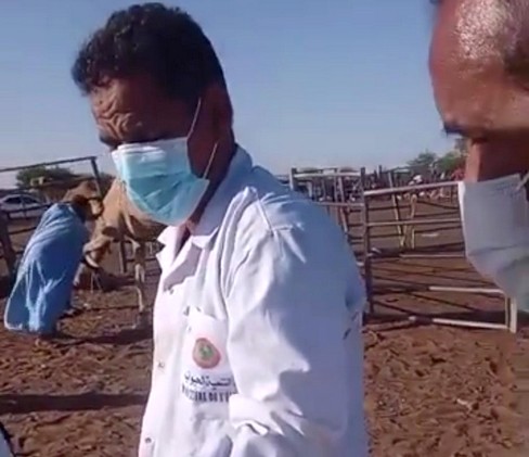 FVR :26 foyers confirmés le ministère de l’Élevage tire la sonnette d’alarme