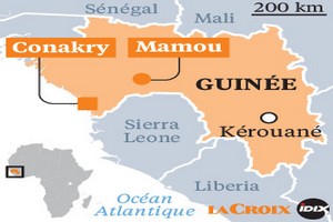 Guinée : premier cas du virus de Marburg, le premier en Afrique de l'Ouest