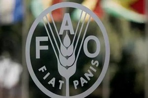 La Mauritanie élue membre du conseil de la FAO pour un mandat de quatre ans