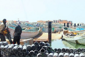 Fin de l’arrêt biologique : les pêcheurs artisanaux se préparent