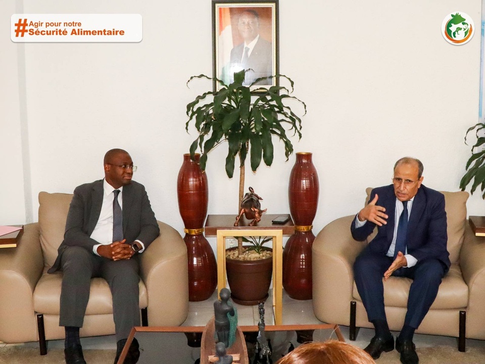 Tabaski 2026: la Côte d’Ivoire anticipe l’approvisionnement en bétail avec la Mauritanie (Ministre)