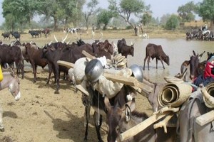 Insécurité au Sahel : doublement du nombre de personnes en besoin d'aide alimentaire immédiate