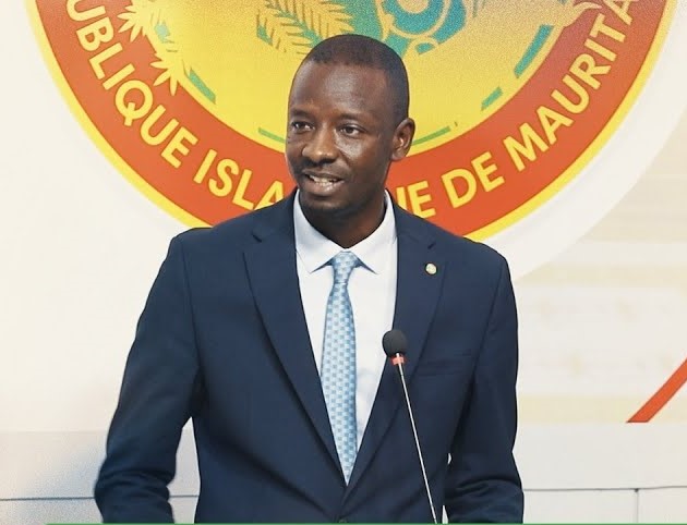 L’Assemblée nationale approuve un projet de loi modifiant et complétant certaines dispositions de la loi régissant les accords miniers modèles