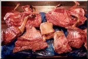 Mauritanie - Lancement des activités de la fondation Internationale du secours islamique 